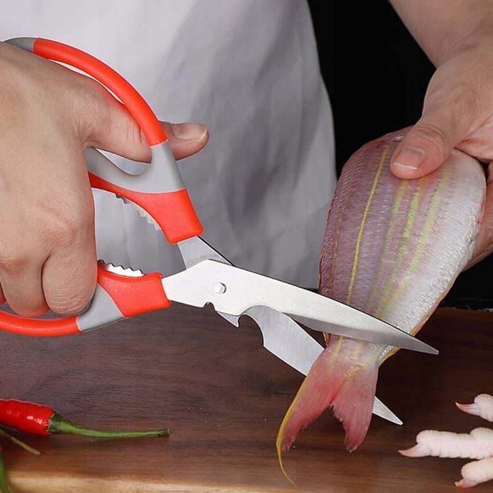 H2_tds0389_Nożyczki pomarańczowe