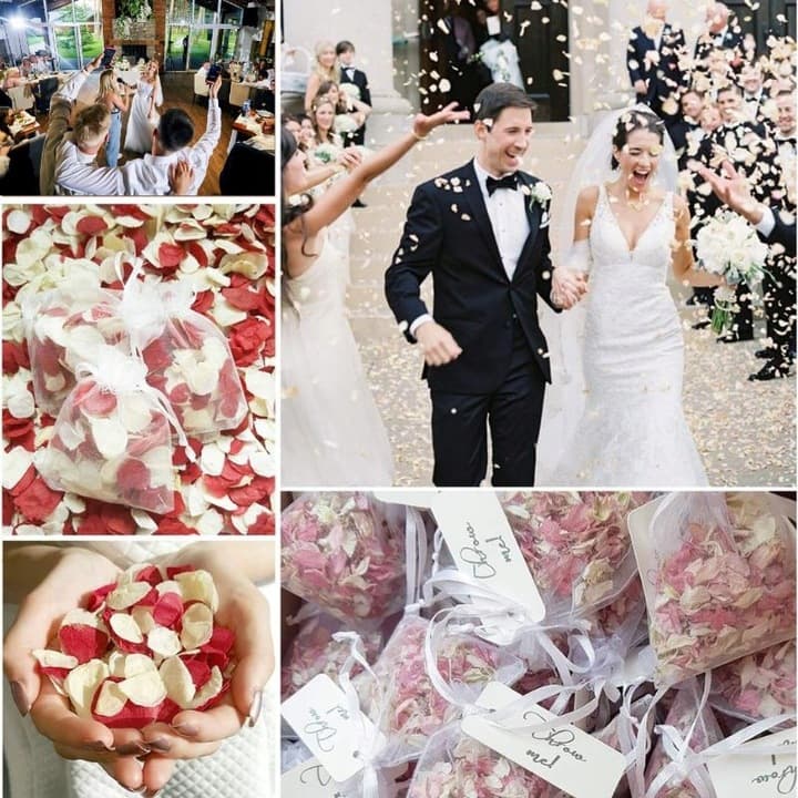 B9_tds0333_Zestaw woreczków organza 100x