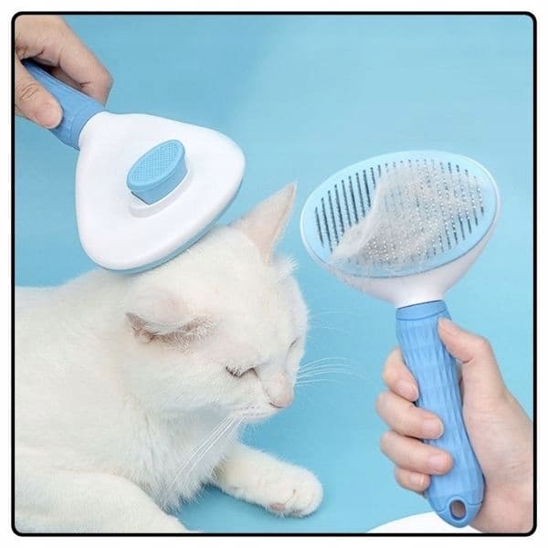 B1_tds0304_Grzebień do usuwania sierści