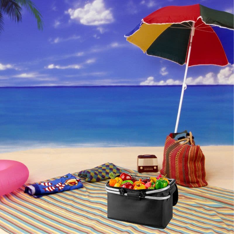 B10__tds0250_Kosz termiczny piknikowy