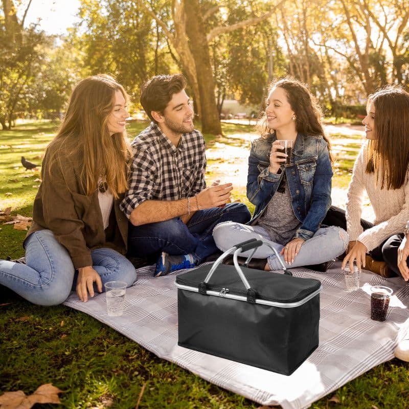 B10__tds0250_Kosz termiczny piknikowy