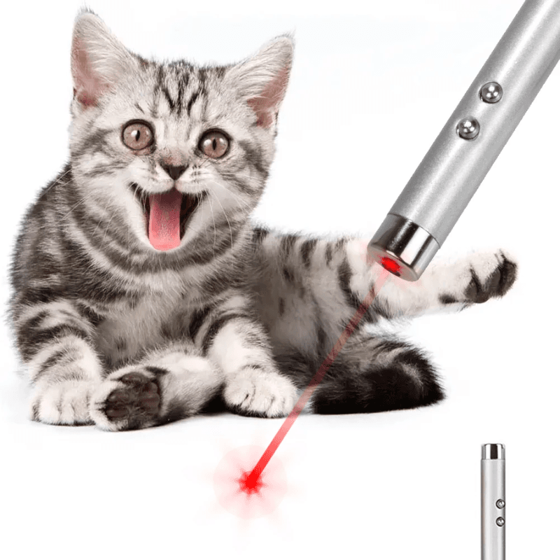 A14_tds0314_Zabawka dla kota laser