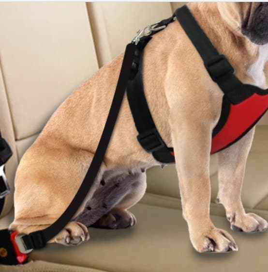 a4__W76a Smycz do auta czarna 65 cm