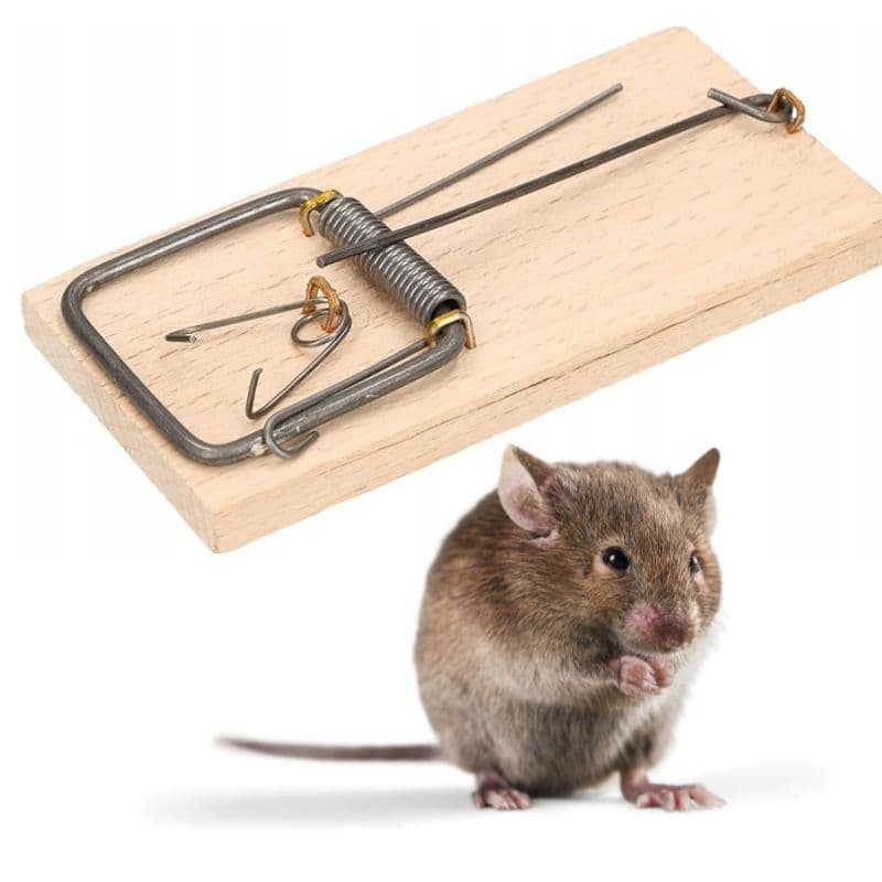 KANCIAPA 2_tds0668_Łapka na myszy DREWNIANA