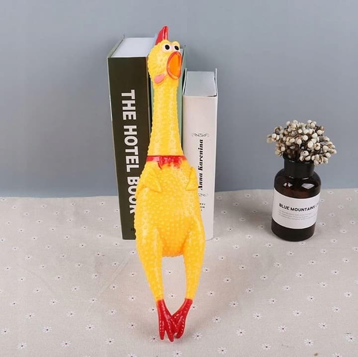 B1_tds0146_kurczak gumowy dla psa