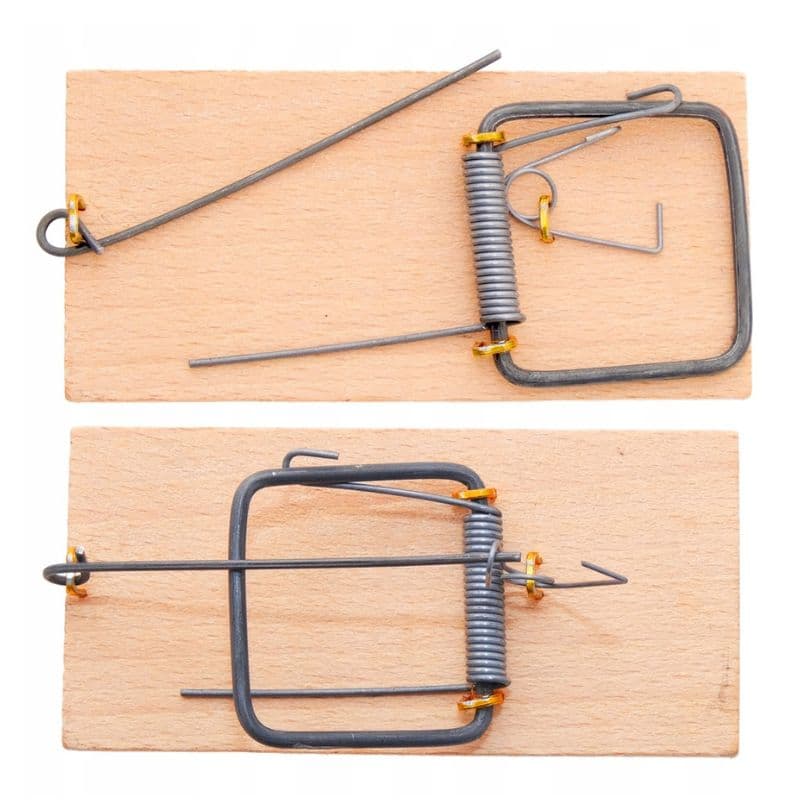 KANCIAPA 2_tds0668_Łapka na myszy DREWNIANA