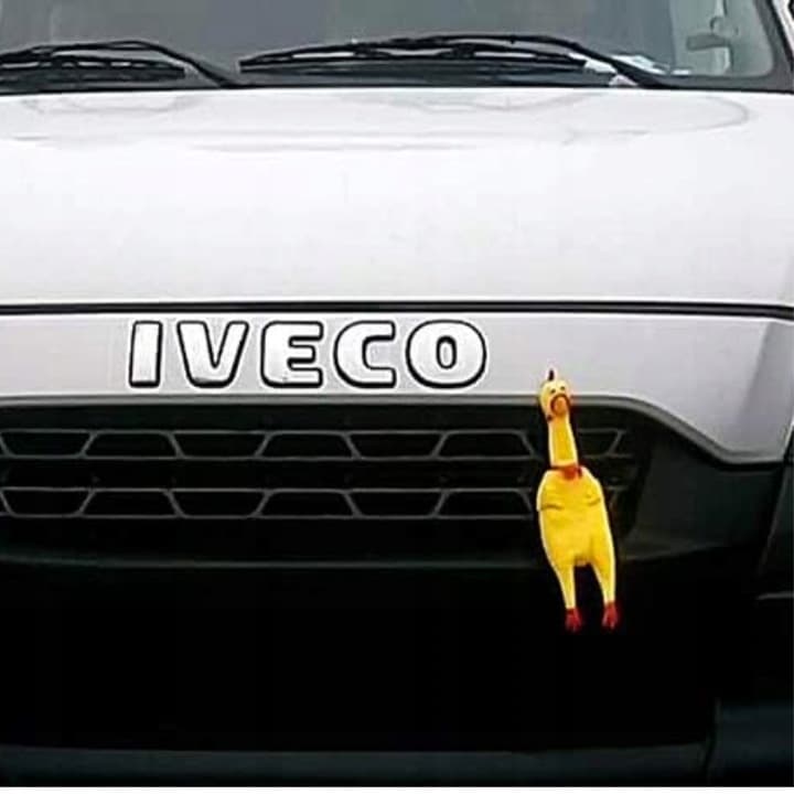 B1_tds0146_kurczak gumowy dla psa