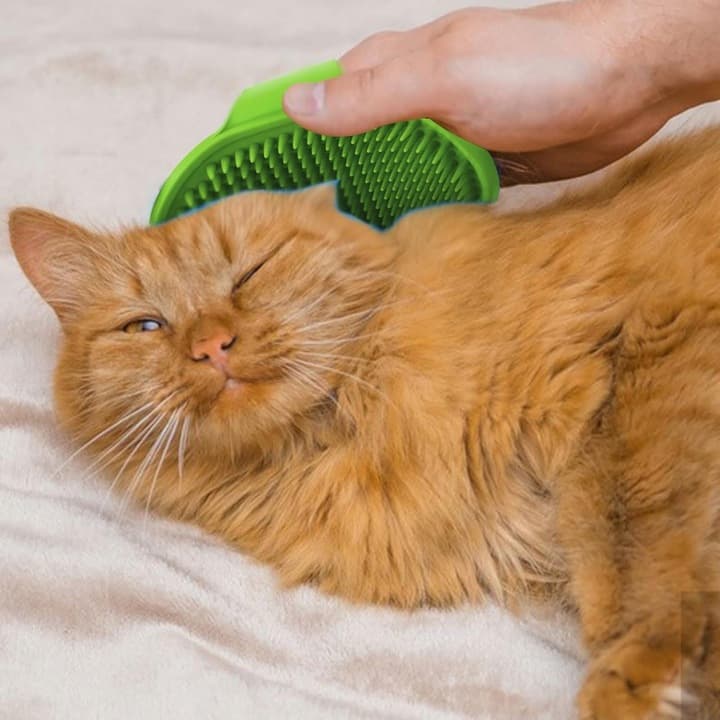 A1_tds0406_Szczotka do czesania mycia zwierząt