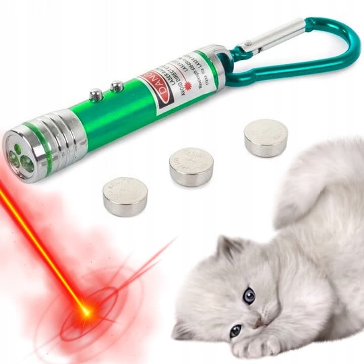 a8_tds0524_Laser brelok dla kota