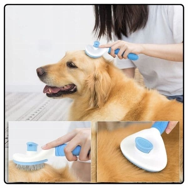 B1_tds0304_Grzebień do usuwania sierści