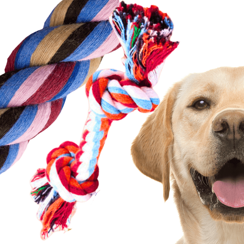 B10_tds0535_Szarpak dla psa Mały