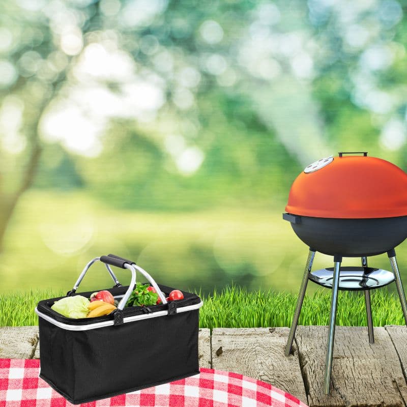 B10__tds0250_Kosz termiczny piknikowy