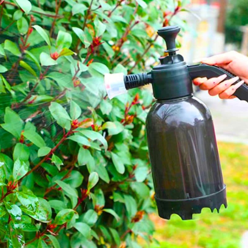 h12_tds0692_Pianownica