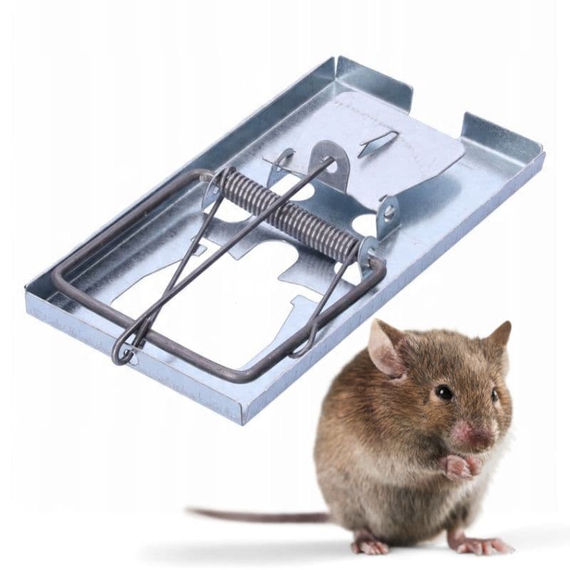 KANCIAPA 2_tds0666_Łapka na myszy - METALOWA -  MyszKiller