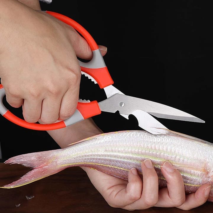 H2_tds0389_Nożyczki pomarańczowe