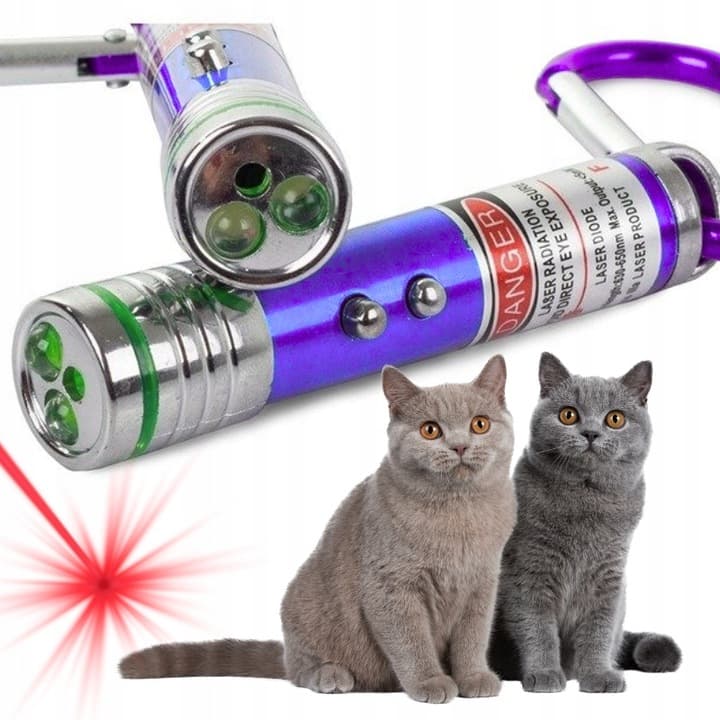 a8_tds0524_Laser brelok dla kota