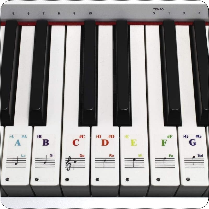 A9_tds0487_Naklejki na pianino