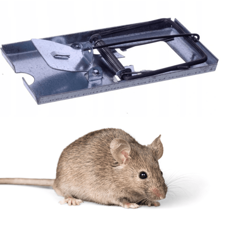 KANCIAPA 2_tds0666_Łapka na myszy - METALOWA -  MyszKiller