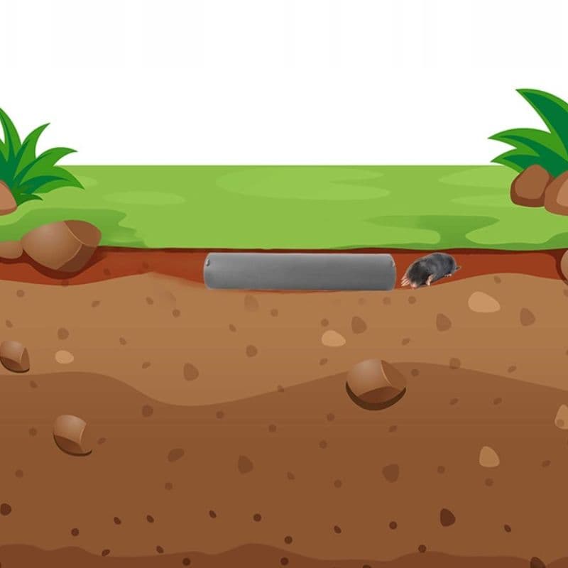 KANCIAPA 2_tds0663_Pułapka na krety NoKret