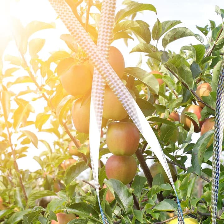 B3_tds0455_taśma na ptaki - 2x