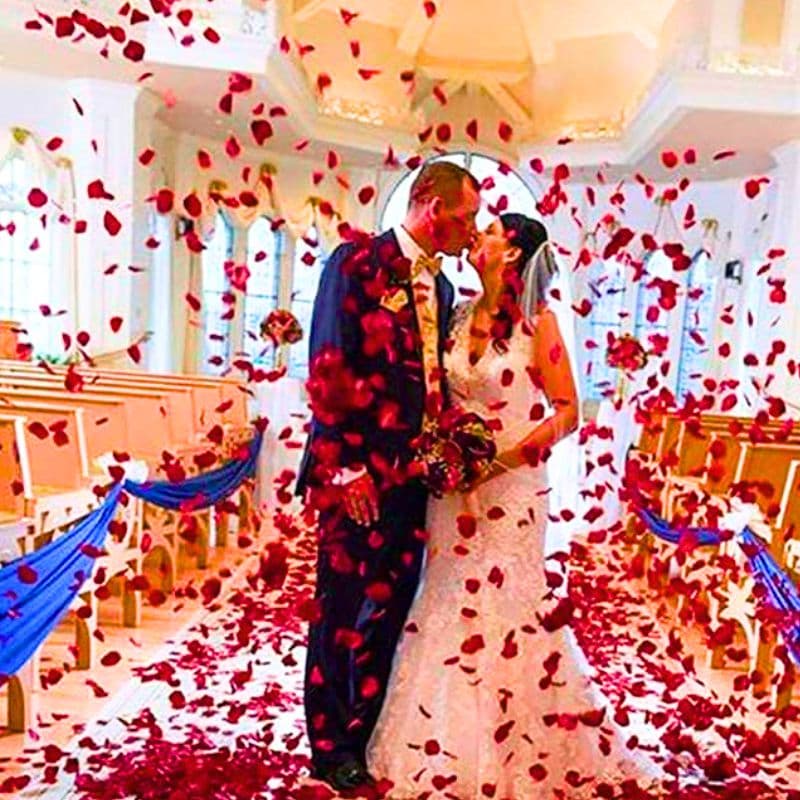 C14_tds0419a_Konfetti róże tuba 1x