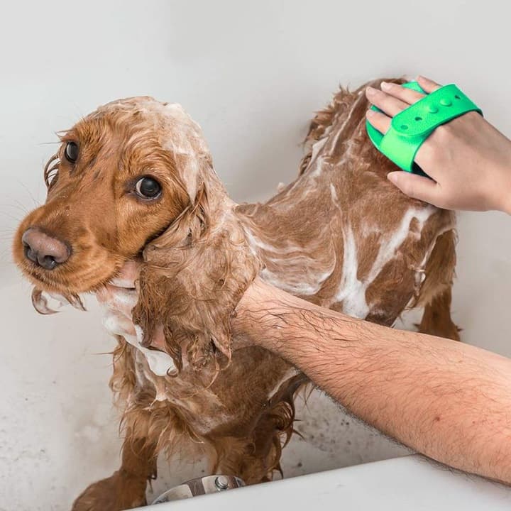 A1_tds0406_Szczotka do czesania mycia zwierząt