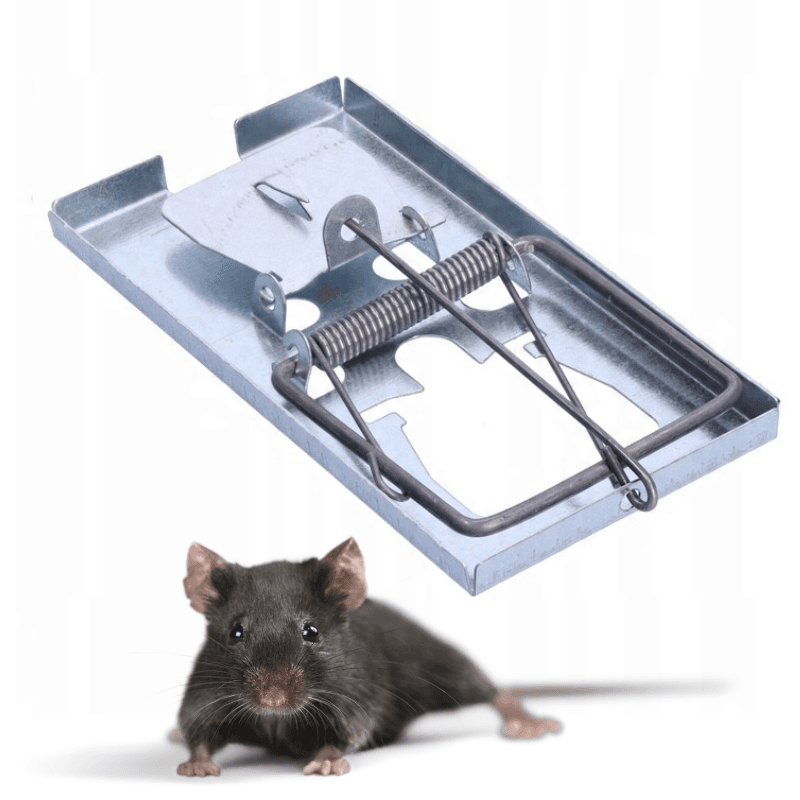 KANCIAPA 2_tds0666_Łapka na myszy - METALOWA -  MyszKiller